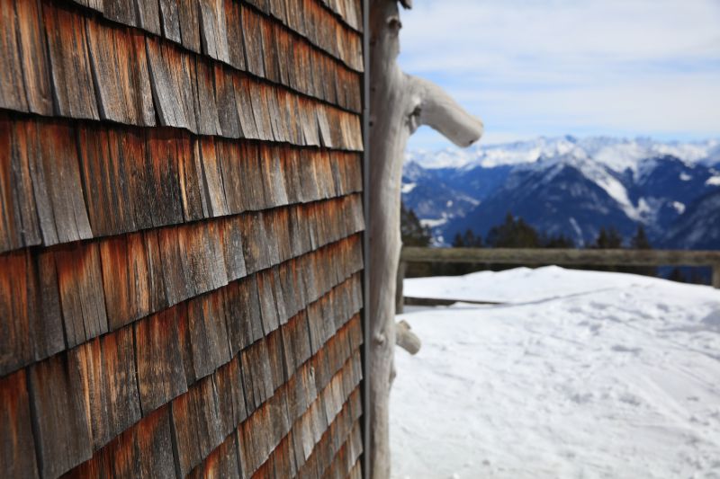 Cedar Siding Before Cleaning